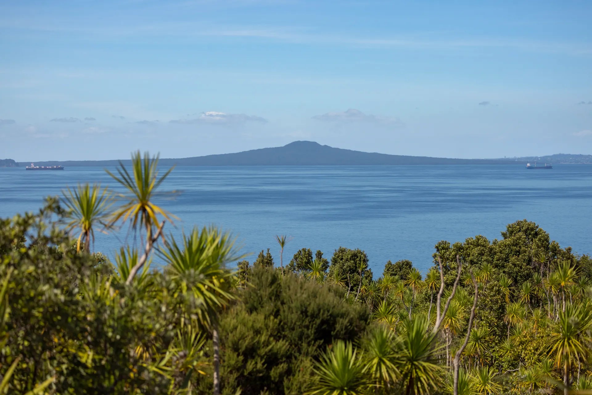 Explore Auckland’s Top Day Hikes: Nature Awaits!