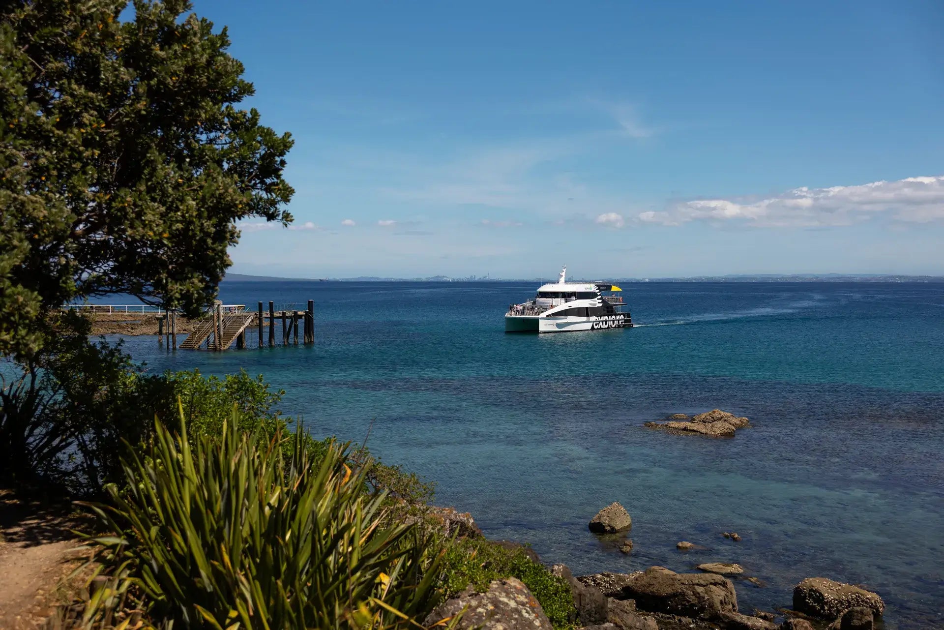 Discover Tiritiri Matangi Island: A Birdwatcher’s Paradise Just a Ferry Ride from Auckland